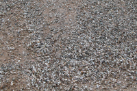 Betonkies - Körnung 0/32
